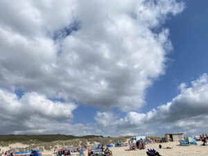 beach windbreaks